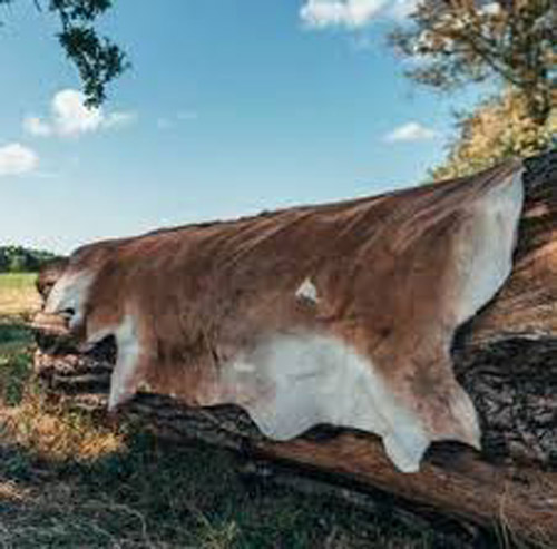 cow hides